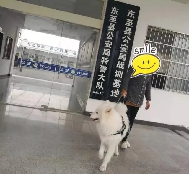 如何看待萨摩耶派出所报案这件事情？