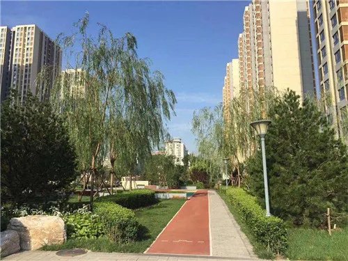 水包水漆寿命大概在几年