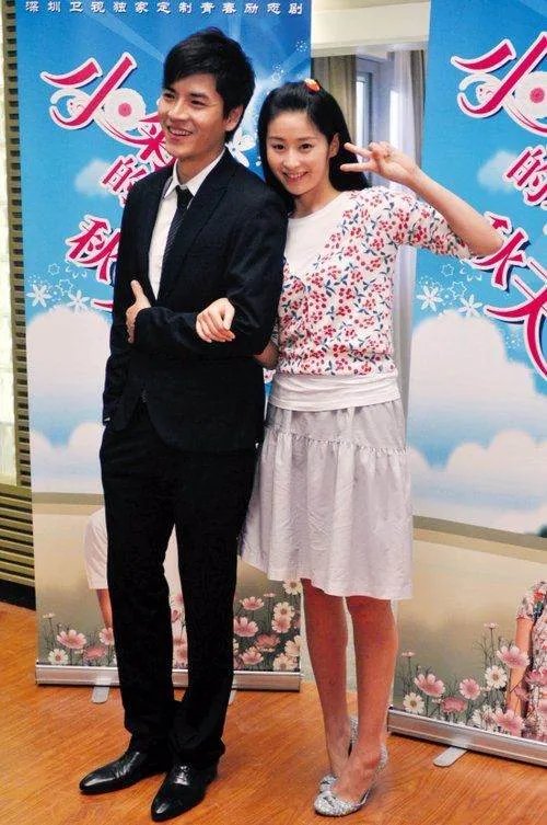 小菊的春天电视剧的剧情介绍及评价？