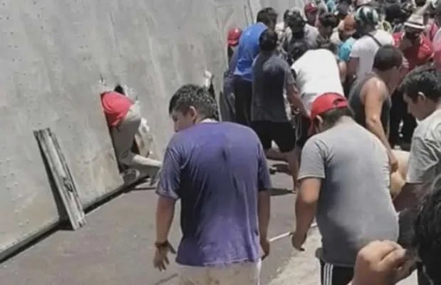 运猪车侧翻20吨活猪遭村民疯抢 网友：原来抢猪不分国界啊