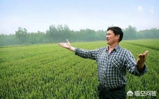 朱之文唱哪一首歌一夜成名？