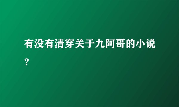 有没有清穿关于九阿哥的小说？