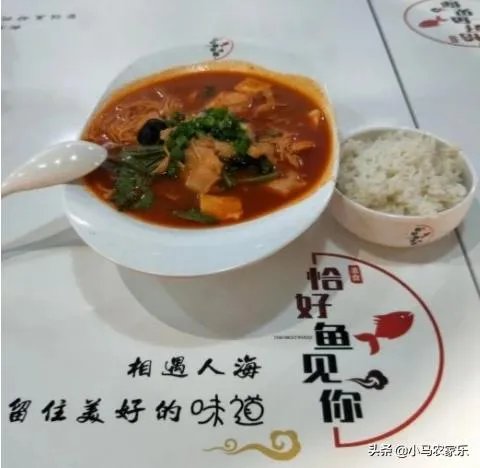 特色饭店加盟品牌哪个好？