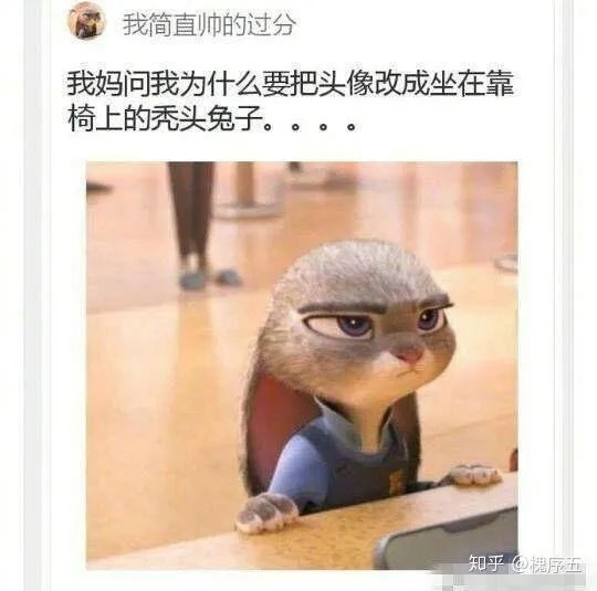 有没有让人笑得停不下来的图片或笑话或视频，可以分享一下吗？