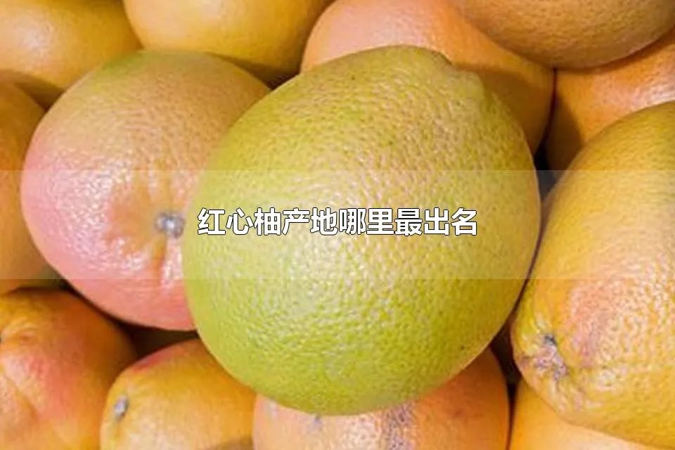 红心柚产地哪里最出名 红心柚子适合哪个地区种植
