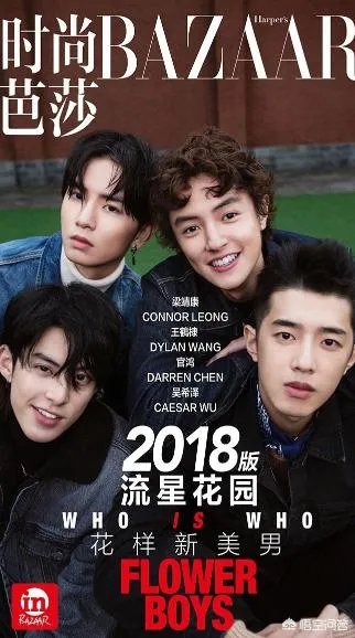 如何评价《新流星花园》里饰演道明寺的王鹤棣？