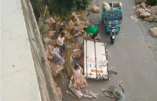 运猪车侧翻20吨活猪遭村民疯抢 网友：原来抢猪不分国界啊