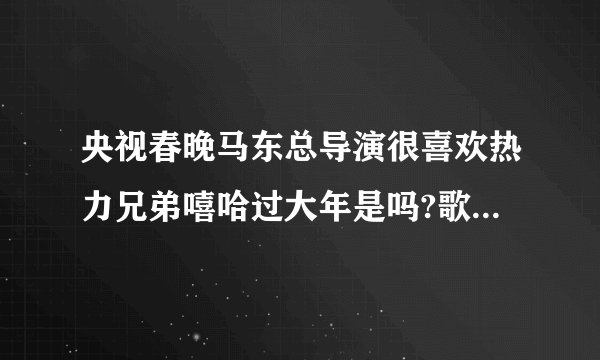 央视春晚马东总导演很喜欢热力兄弟嘻哈过大年是吗?歌词是?那里能下载？