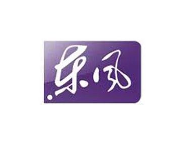 东风卫视的集团简介