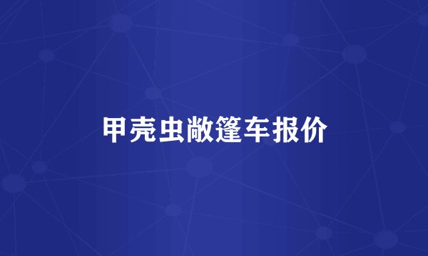 甲壳虫敞篷车报价