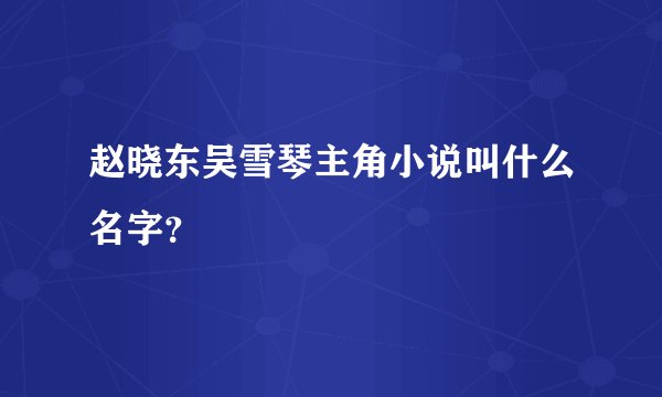 赵晓东吴雪琴主角小说叫什么名字？