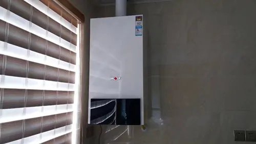 德国威能和菲斯曼哪个好 德国威能和菲斯曼的区别在哪