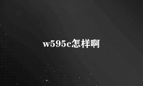 w595c怎样啊