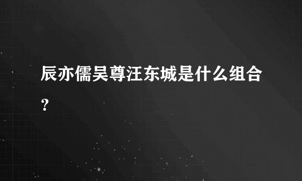 辰亦儒吴尊汪东城是什么组合？