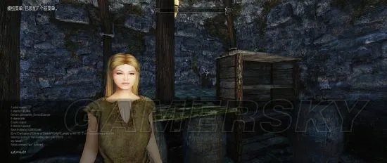 《上古卷轴5》Racemenu捏脸及制作独立美化随从教程