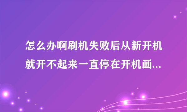 怎么办啊刷机失败后从新开机就开不起来一直停在开机画面怎么办啊5555T^T小白求解啊！555T_T