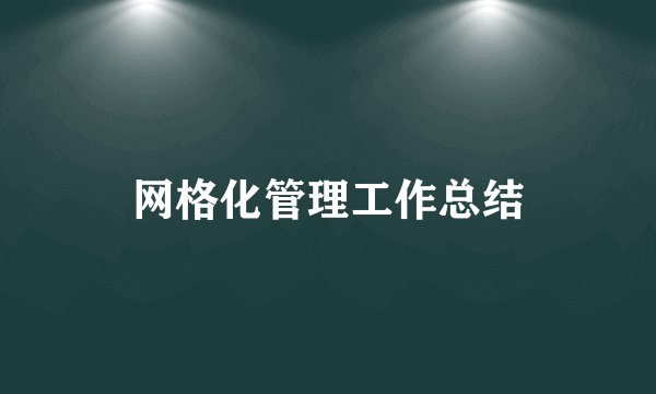 网格化管理工作总结