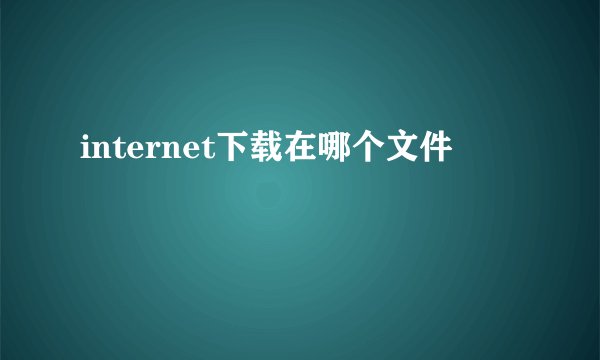 internet下载在哪个文件