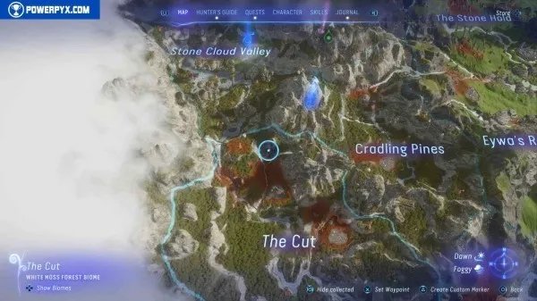 《阿凡达潘多拉边境》塔休幼苗位置汇总 塔休幼苗收集攻略