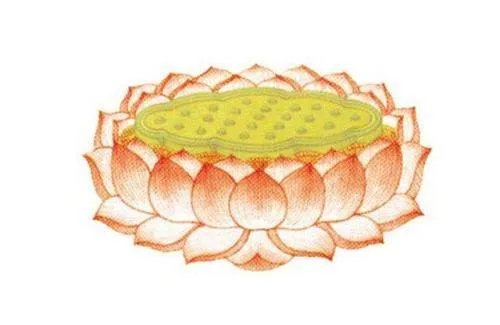 佛教“八识”中的第八识是？