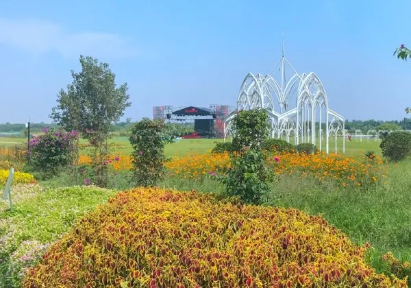 蔚然花海好玩吗？