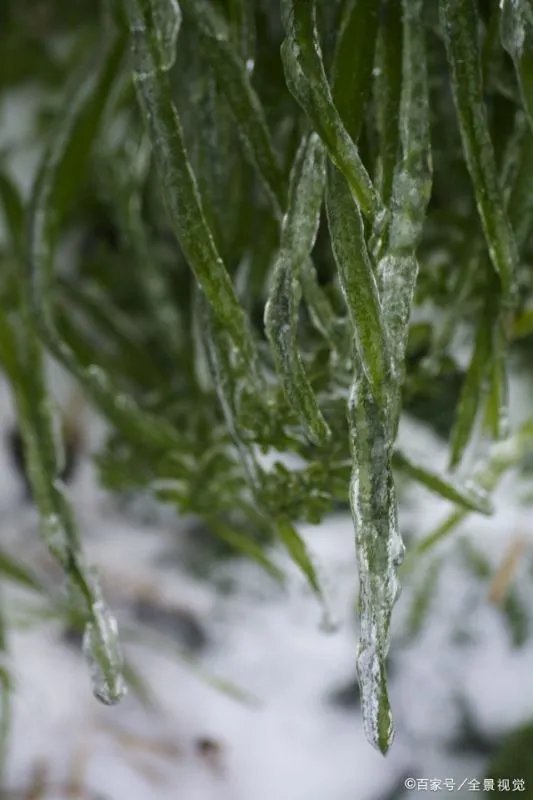 气象局连发寒潮蓝色预警信号，哪些城市地区降温情况较为明显？