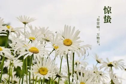 2020年惊蛰还有几天？惊蛰有什么习俗？