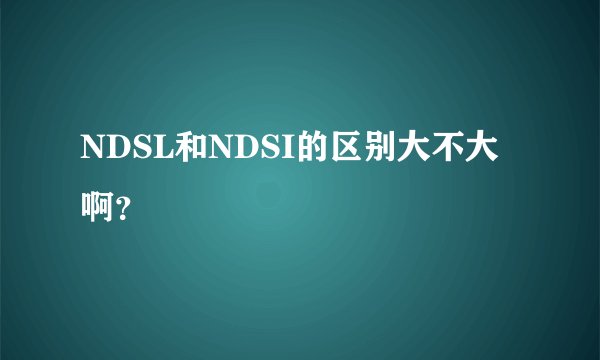 NDSL和NDSI的区别大不大啊？