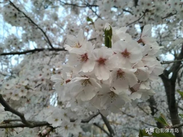 今年五一天津人能跨省旅游吗？