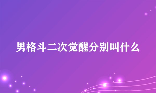 男格斗二次觉醒分别叫什么