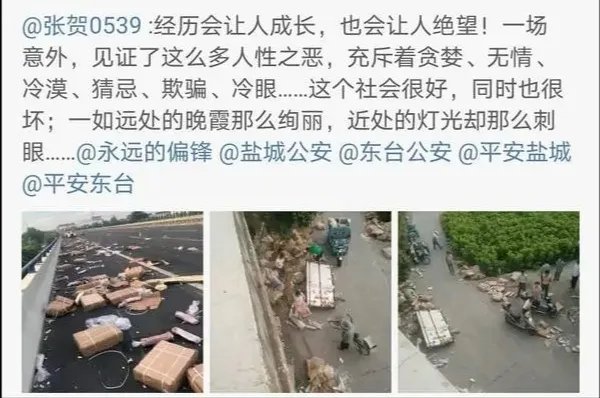 哄抢猪肉部分被追回冷库存放,他们需要承担法律责任吗?