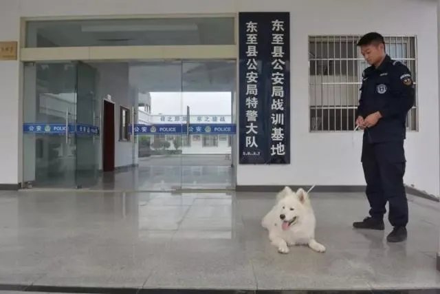 如何看待萨摩耶派出所报案这件事情？