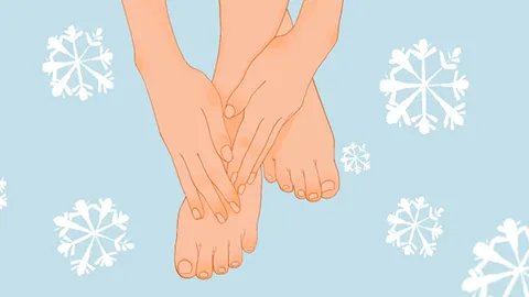 哪个器官最怕冷