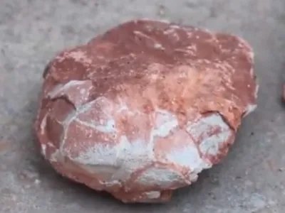 江西工地挖出恐龙蛋化石看看网友是怎么评论