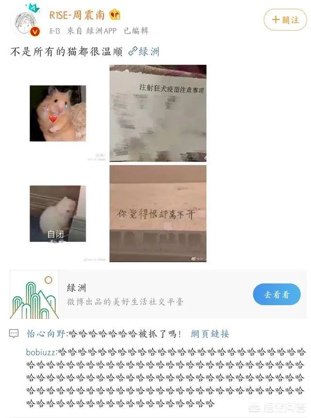 你知道哪些明星，在家养有什么样的宠物呢？