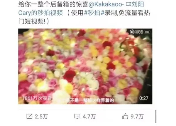 阿沁和刘阳在一起了5年，这5年他们分别有了哪些变化？