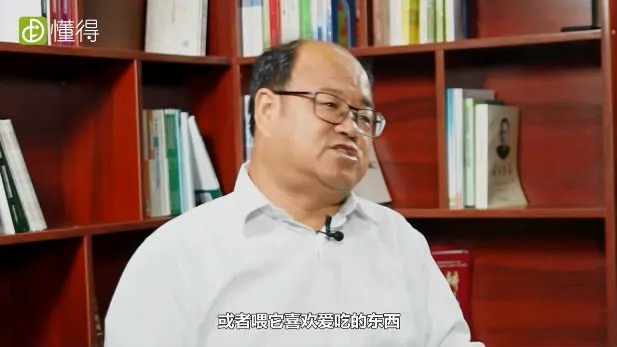 怎么训练狗狗大小便