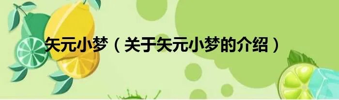 矢元小梦（关于矢元小梦的介绍）