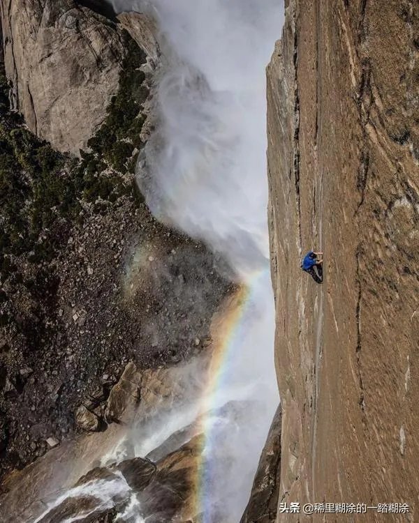 你怎么评价电影《徒手攀岩》？