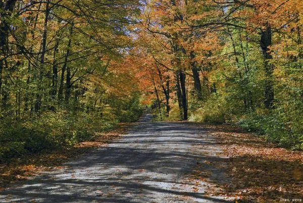 加拿大作为一个移民大国，加拿大联邦自雇移民项目如何呢？