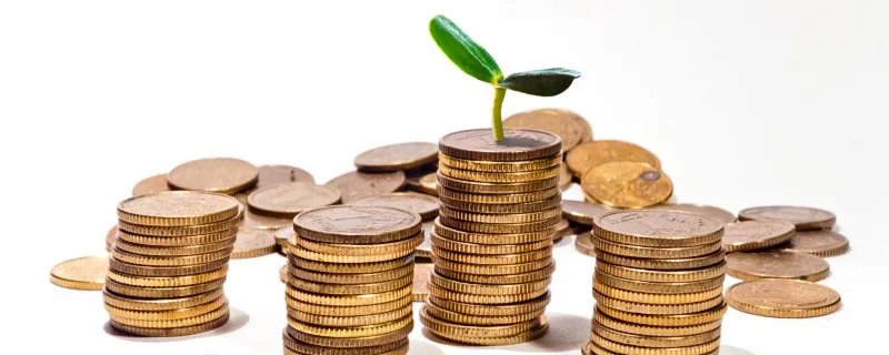 贪婪成性指什么生肖 十二生肖哪个生肖最贪财