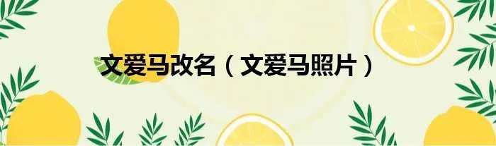 文爱马改名（文爱马照片）