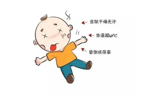 东京本月超100人因中暑死亡，具体是什么情况？