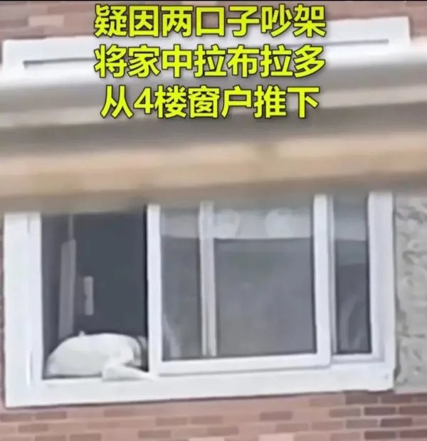 北京一户居民疑因吵架把狗推下4楼，夫妻吵架为何要迁怒到狗的身上？