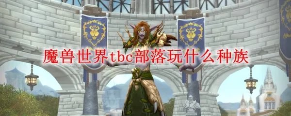 魔兽世界tbc部落玩什么种族