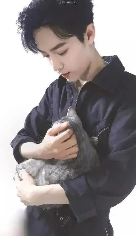 你知道哪些明星，在家养有什么样的宠物呢？