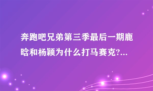 奔跑吧兄弟第三季最后一期鹿晗和杨颖为什么打马赛克?是衣服的标志？