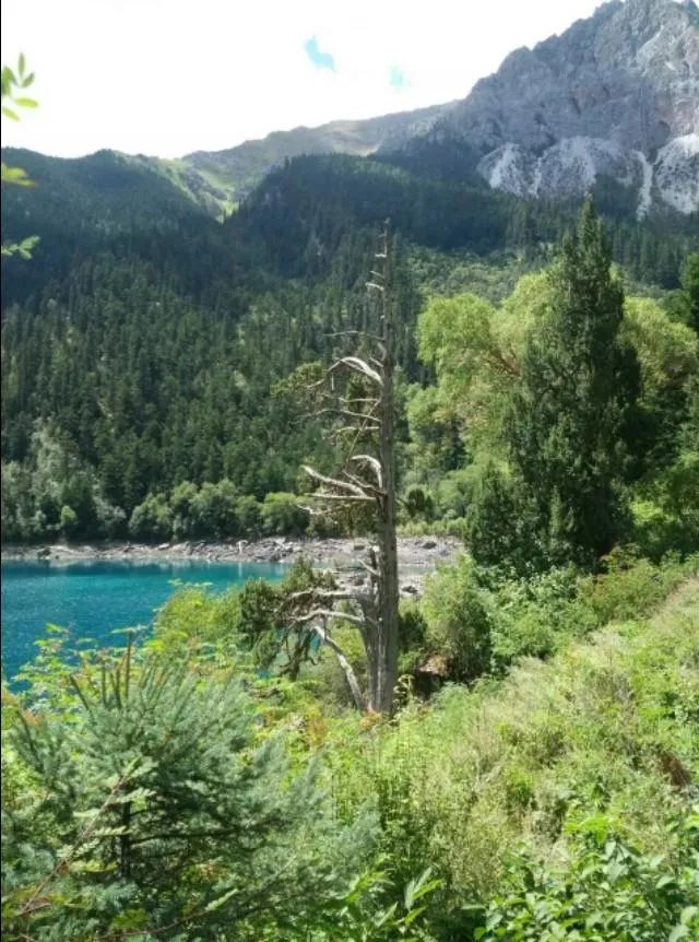 九寨沟地震过后又形成新的景点，你还会去吗？