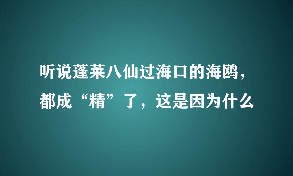 听说蓬莱八仙过海口的海鸥，都成“精”了，这是因为什么