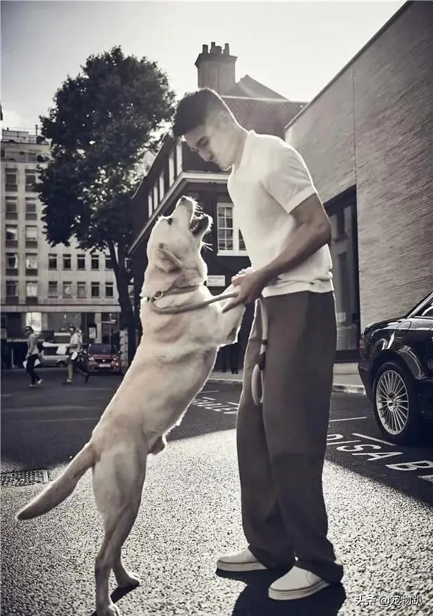 你知道哪些明星，在家养有什么样的宠物呢？